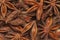 Star anises dried spice fruits