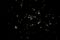 Star cluster M47 Golden stars Beautiful night sky