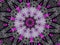 Star Design of Gray Black and Pink Flower Kaleidoscope