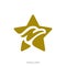 Star Eagle logo Vector Template. Eagle logo with stars icon