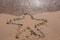 Star figure drawn on sand beach near sea wave on sunny day