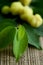 Star gooseberry, sour herbal fruit