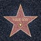 Star Hollywood. Bright vector star on celebrity boulevard. Hollywood walk of fame. Glitter star with camera on dark