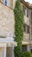 Star jasmine climbing three stories in Saint Paul de Vence, Provence, France