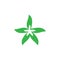 star  leaf ecology concept   vector icon of go green