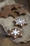 Star shape Christmas chocolate gingerbread Cookies