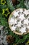 Star shape cocoa cookies with white glaze. Christmas decorations on thuja branches. Top view