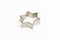 Star shaped Christmas cookie cutter over white