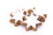 Star-shaped cinnamon biscuit