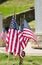 Star Spangled flags at a war memorial