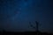 A Star trail of the African night sky, photographed in the Greater Kruger