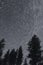 star trails at midnight over pine trees in spokane washington