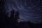 Star trails at night in the frozen forest in winter