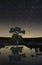 Star trails over a lake and tree at night