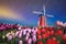 Star trails, windmill and tulips