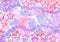 Star Watercolor paint abstract background. Pink, blue and violet spot texture. Backdrop of Spots and Stars for packaging
