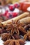 Staranises cinnamon sticks rosehips close up