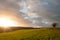 Starburst sunset over fields