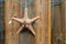 Starfish background with sea star and blue net on weathered timber planks, design and decoration