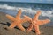 Starfish On Beach