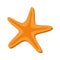 Starfish beach isolated icon