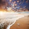 Starfish on the beach. Romantic composition