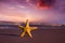 Starfish on the beach at sunset