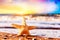 Starfish on the beach at warm sunset. Travel, vacation