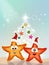 Starfish at Christmas