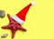 Starfish in a Christmas hat on a yellow background.