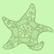 Starfish color drawing vector illustration