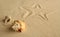 Starfish footprint over caribbean sand