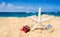 Starfish with gift boxes on the sandy beach