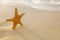 Starfish on golden sand beach with waves in soft sunset light