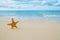 Starfish on golden sand beach with waves in soft sunset light