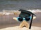 starfish graduate wearing sunglasses