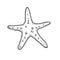 Starfish hand drawn sketch. Marine star in doodle style. . Best for summer, beach posters, decoration and prints.