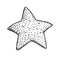 Starfish hand drawn sketch. Marine star in doodle style. . Best for summer, beach posters, decoration and prints.