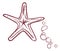 Starfish in hand drawn sketch style. Marine symbol