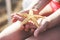 Starfish in the hands of child on the beach
