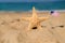 A starfish holds an American flag on the seashore. Labor day holiday concept. 4th of July USA Independence Day.