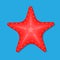 Starfish icon.