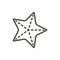 Starfish icon vector. Line sea star symbol isolated. Trendy flat outline ui sign design. Thin linea