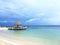 Starfish island in belize