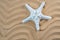 starfish on line wave sand texture background