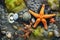 starfish near tide pool mussels and barnacles