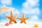 Starfish with ocean , beach and seascape