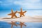 Starfish with ocean , beach, seascape and reflection