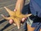 Starfish on the palm of the hand, on the shore of the Pacific Ocean. September 2015. Vancouver