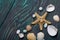 Starfish, pebbles and many different seashells. On brushed pine boards painted black and green